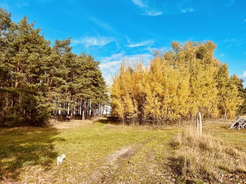 Rundwanderweg Riebener See
