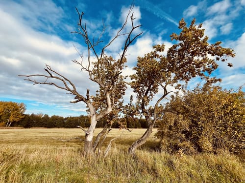 Rundwanderweg Riebener See