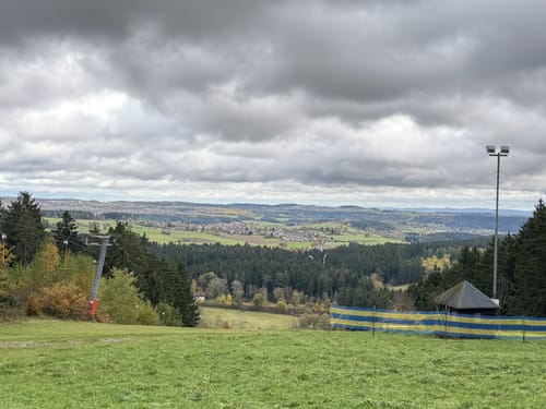 Durch den Wald in Freudenstadt