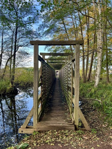 Rundwanderweg Riebener See