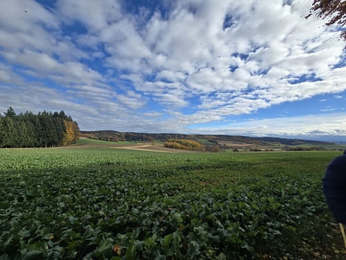 Bad Birnbach - Oberbirnbach Runde