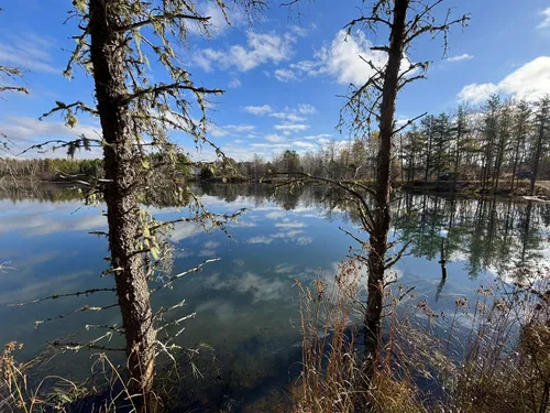 Best river trails in Minto | AllTrails