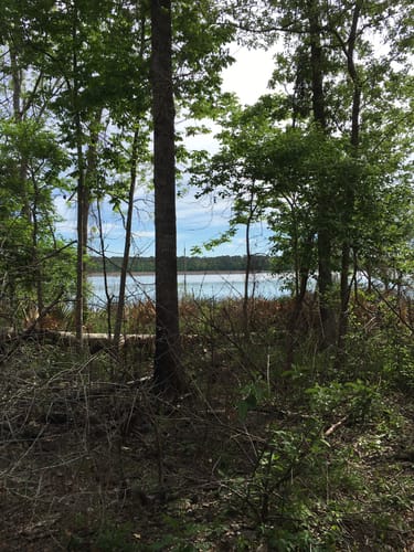 De 10 beste routes in Sam Houston - EyJidWNrZXQiOiJhc3NldHMuYWxsdHJhaWxzLmNvbSIsImtleSI6InVwbG9hZHMvcGhvdG8vaW1hZ2UvMTE0OTc0MjgvY2I1N2FhNTg4NjNmZDVlOTllNGI3NmU0OWIzZDYwYTEuanBnIiwiZWRpdHMiOnsidG9Gb3JtYXQiOiJqcGVnIiwicmVzaXplIjp7IndpZHRoIjo1MDAsImhlaWdodCI6NTAwLCJmaXQiOiJpbnNpZGUifSwicm90YXRlIjpudWxsLCJqcGVnIjp7InRyZWxsaXNRdWFudGlzYXRpb24iOnRydWUsIm92ZXJzaG9vdERlcmluZ2luZyI6dHJ1ZSwib3B0aW1pc2VTY2FucyI6dHJ1ZSwicXVhbnRpc2F0aW9uVGFibGUiOjN9fX0=