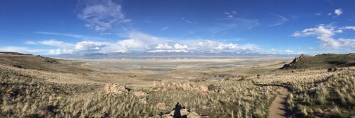 are dogs allowed on antelope island