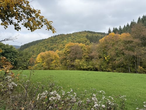 EifelSchleife Eisvogelwanderweg Hellenthal