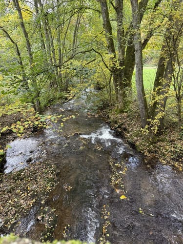 EifelSchleife Eisvogelwanderweg Hellenthal