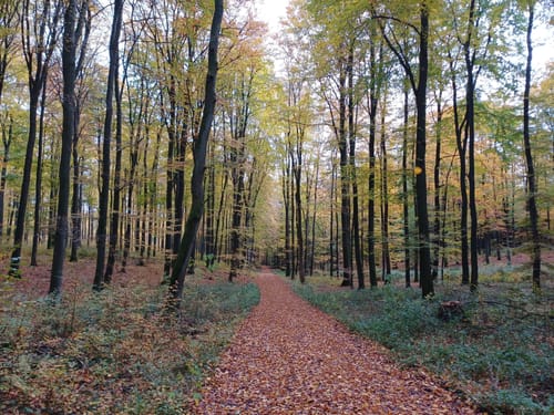 Zwerg Anton Tour Barntrup