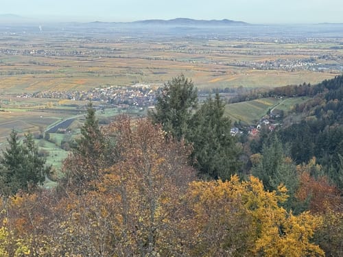 Sagenhafte Wanderung von Badenweiler zur Ruine Neuenfels