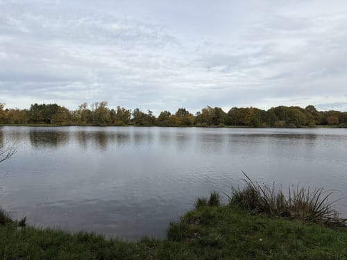 Rund um den Tweelbäker See