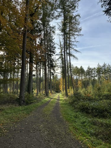 Pilgerweg Loccum-Volkenroda Etappe 1: Loccum - Stadthagen