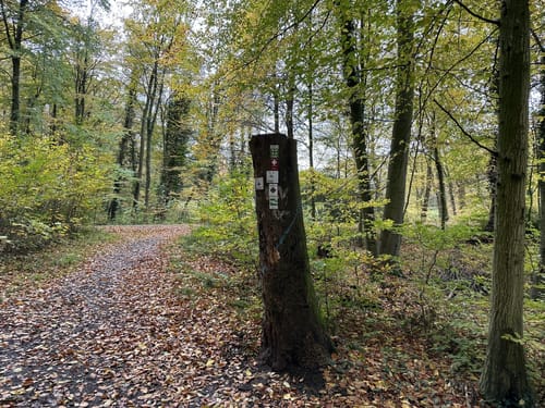 Pilgerweg Loccum-Volkenroda Etappe 1: Loccum - Stadthagen