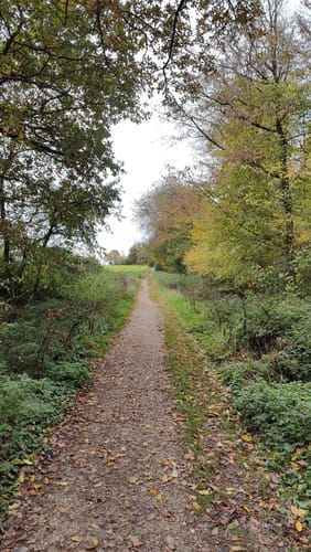 Wegberg: Lauter Mühlen (A4)