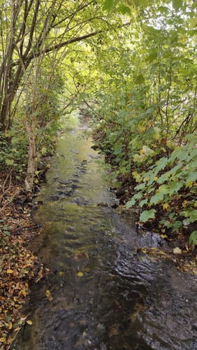 Wegberg: Lauter Mühlen (A4)