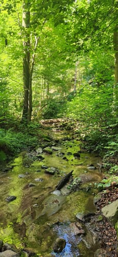 Poetenweg - Amselgrund