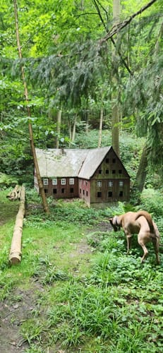 Poetenweg - Amselgrund