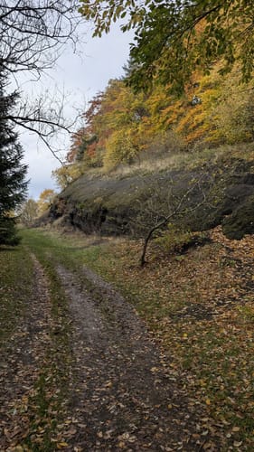 Gerolsteiner Felsenpfad (Vulkaneifel-Pfade)