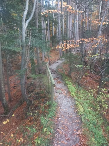 Zwieselbergtrail