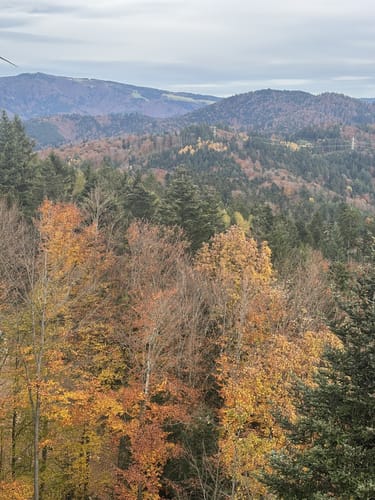 Freiburg - Rosskopf