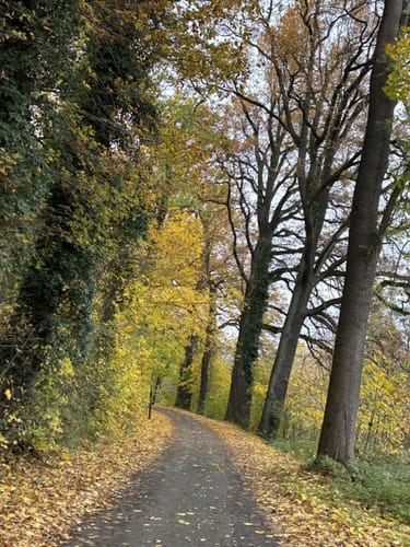 Königsbrück - Tiefental Runde