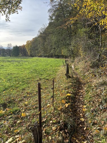 Königsbrück - Tiefental Runde