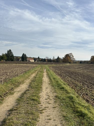 Königsbrück - Tiefental Runde