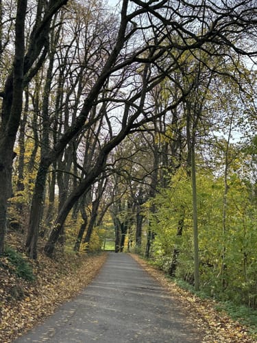 Königsbrück - Tiefental Runde