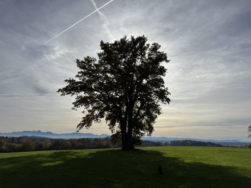 Zinneberg - Hermannsdorf - Glonn