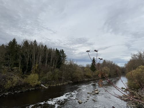 Um den Wertach Stausee ab Bad Wörishofen