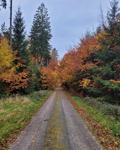 Heimbuchenthal : ECHTERSPFAHL-TOUR Sage