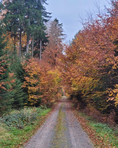 Heimbuchenthal : ECHTERSPFAHL-TOUR Sage