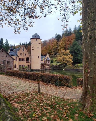 Heimbuchenthal : ECHTERSPFAHL-TOUR Sage
