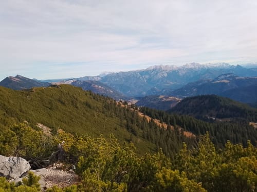 Winklmoosalm zum Dürrnbachhorn