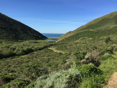 10 Best Walking Trails in Sausalito | AllTrails