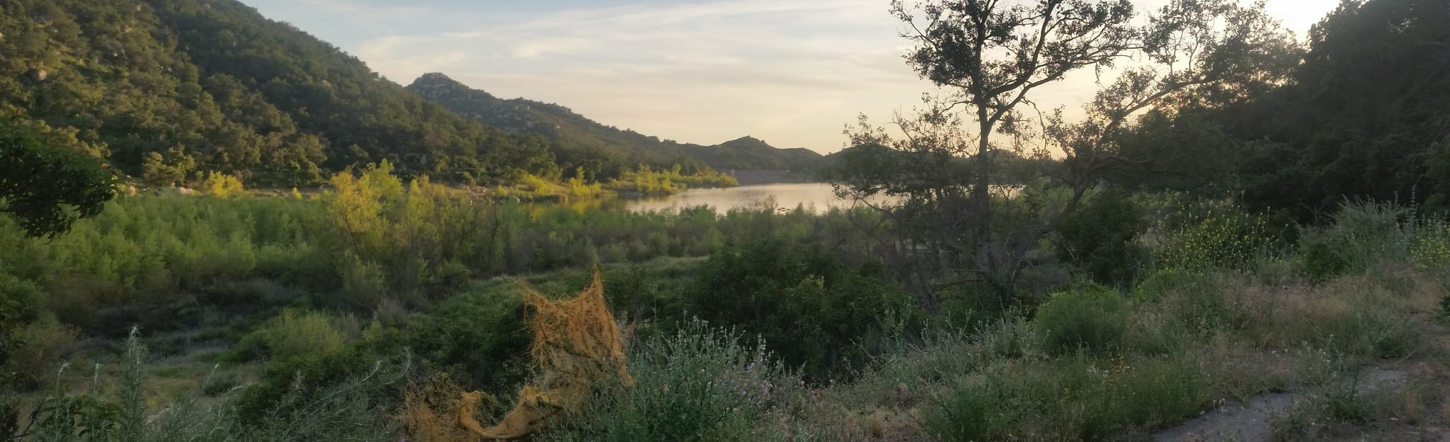 Osprey and Kumeyaay Trail, California 102 Reviews, Map AllTrails