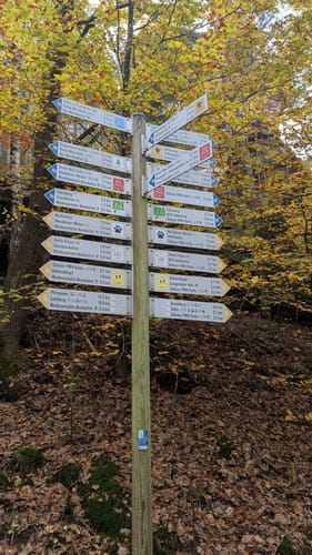 Dahner Felsenpfad (Premiumwanderweg)