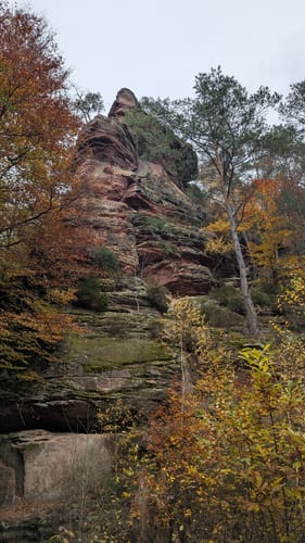 Dahner Felsenpfad (Premiumwanderweg)