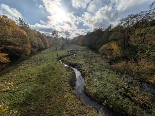 Aussichtsturm Brookbäke im Hasbruch
