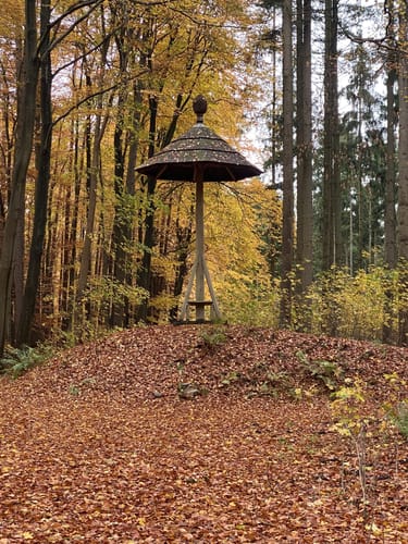 Vom Schlosspark zum Aboreturm