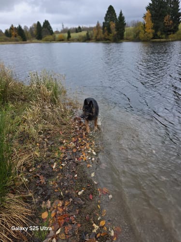 WasserWanderWeg Nr. 4, Buntenbocker Teiche