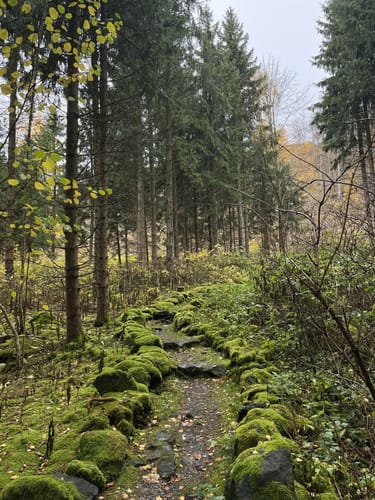 Scheibenberg Rundweg