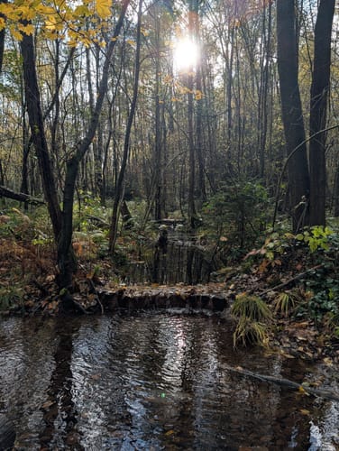 Ohligser Heide Rundweg