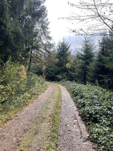 Mühlen-Rundwanderweg Simonswald