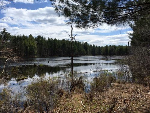 Best 10 Hikes and Trails in Beaver Brook Nature Center | AllTrails