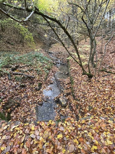 Himmelssteig Stephanshausen