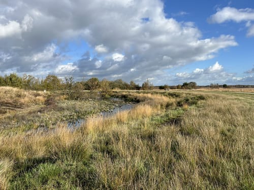 Noaberpad Etappe 7: Nieuw-Dordrecht - Weiteveen