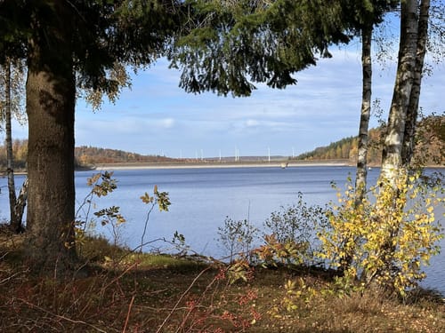 Um den Aabachsee