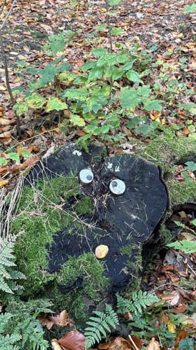 Rundweg A2: Rödinghausen - Grüner See