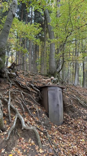 Rundweg A2: Rödinghausen - Grüner See