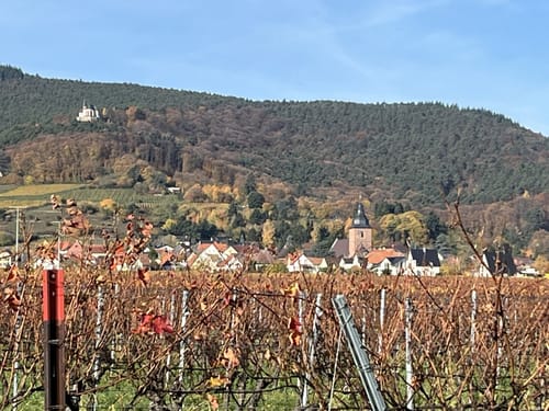 Pfälzer Mandelpfad Rundweg 4