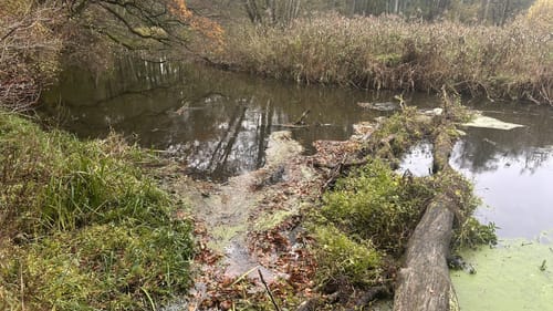 Naturlehrpfad Durchbruchstal der Warnow und der Mildenitz